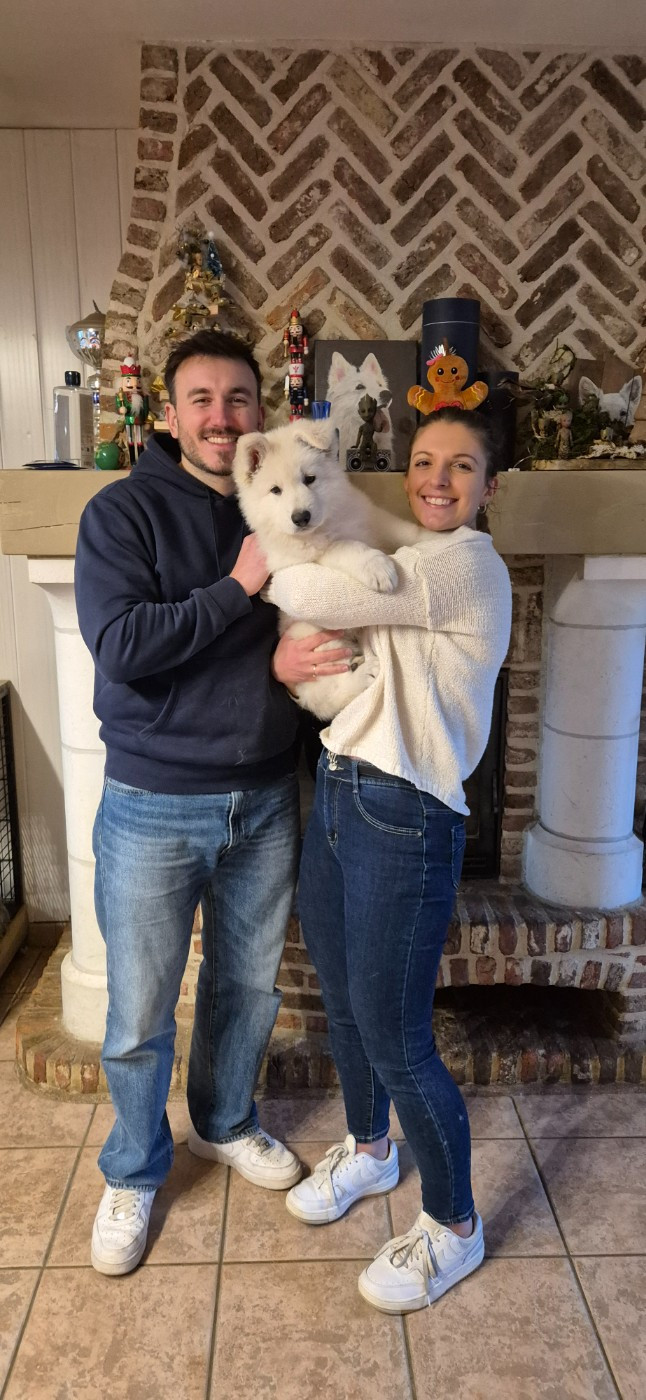 AIKO 2 Du Moulin De Beuvry