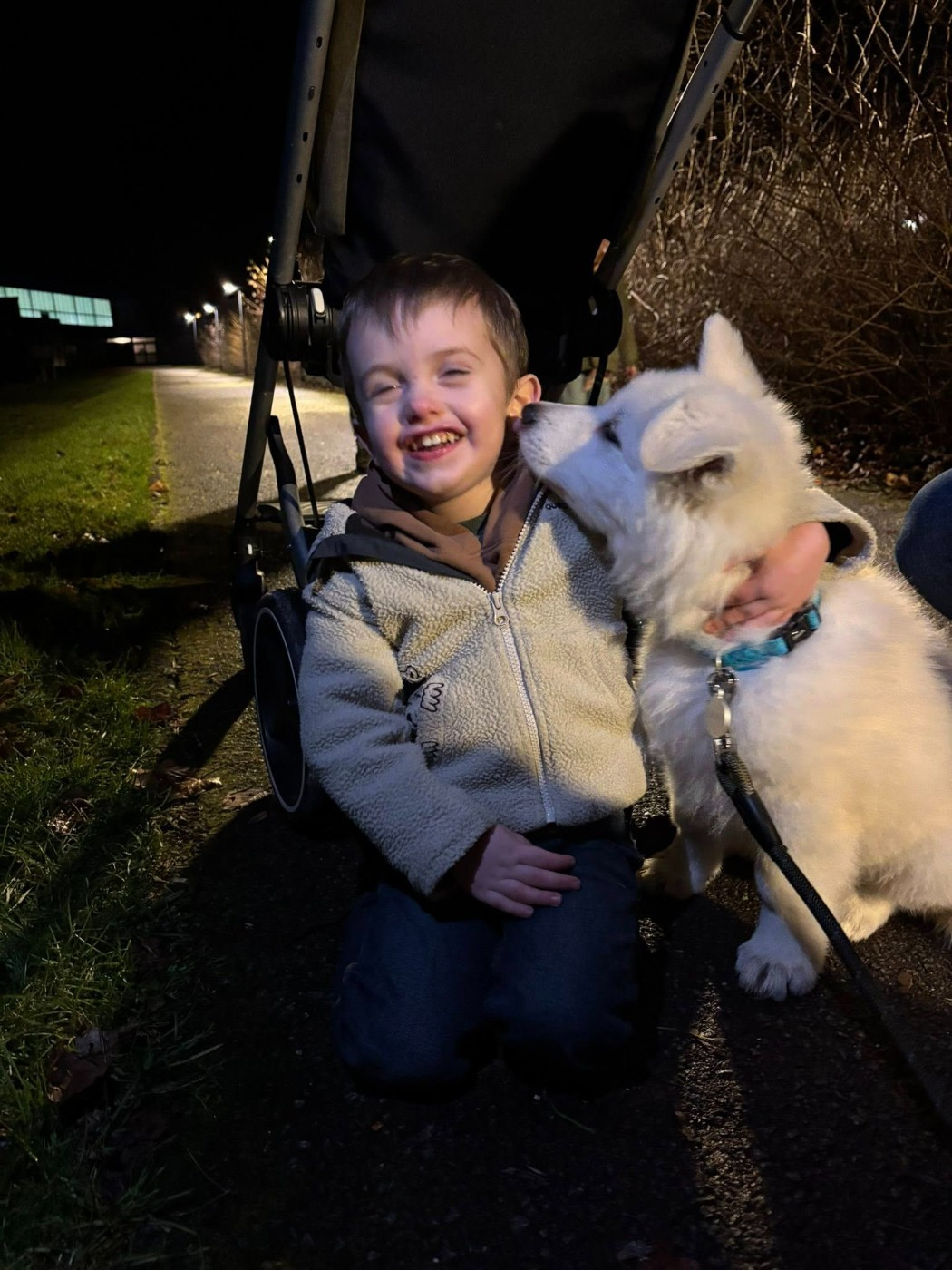 AIKO 2 Du Moulin De Beuvry