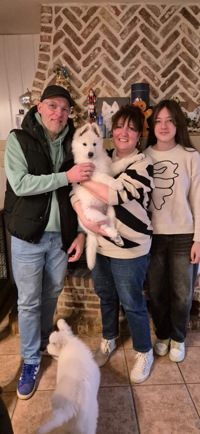 ARKO Du Moulin De Beuvry