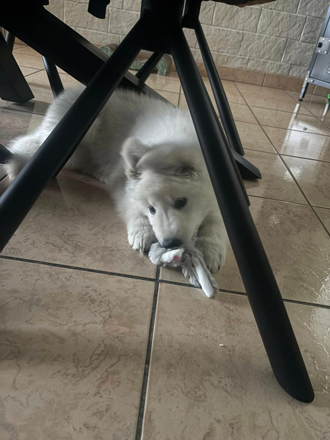 ARKO Du Moulin De Beuvry