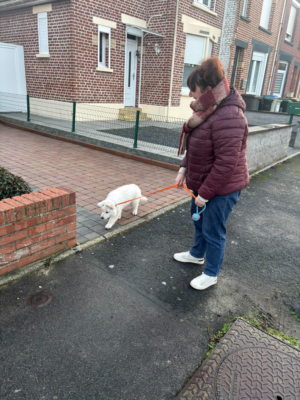 ARKO Du Moulin De Beuvry