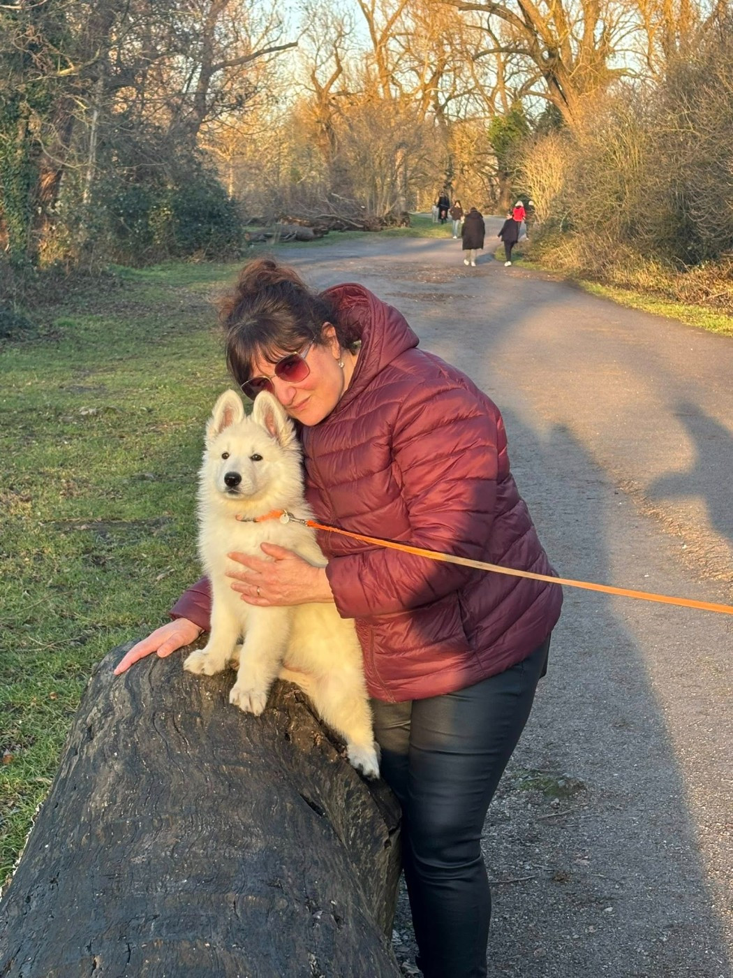 ARKO Du Moulin De Beuvry