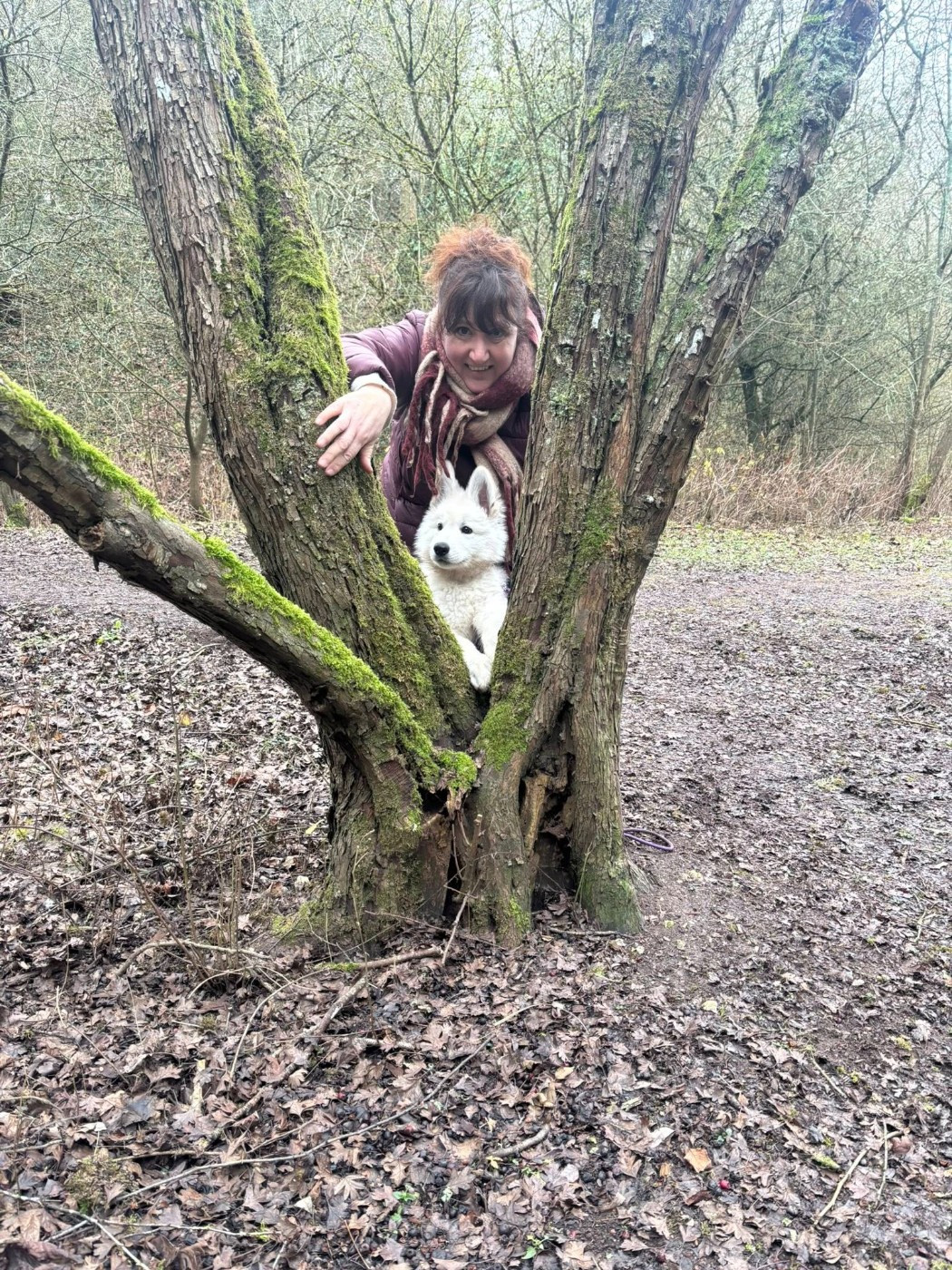 ARKO Du Moulin De Beuvry