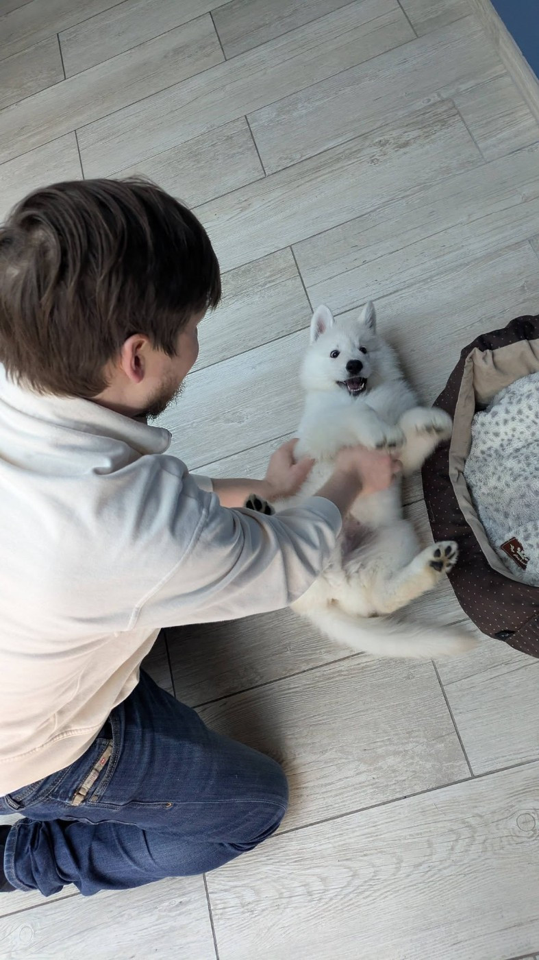 AKIRA Du Moulin De Beuvry