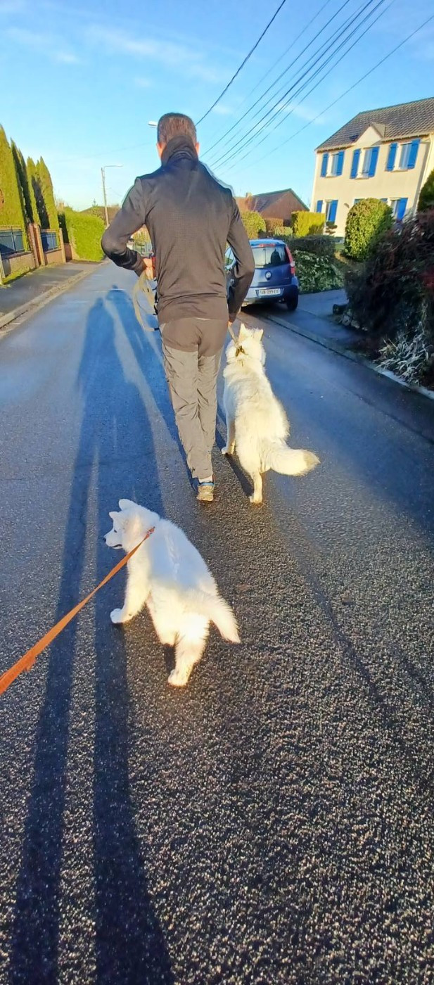 A SKOLL Du Moulin De Beuvry