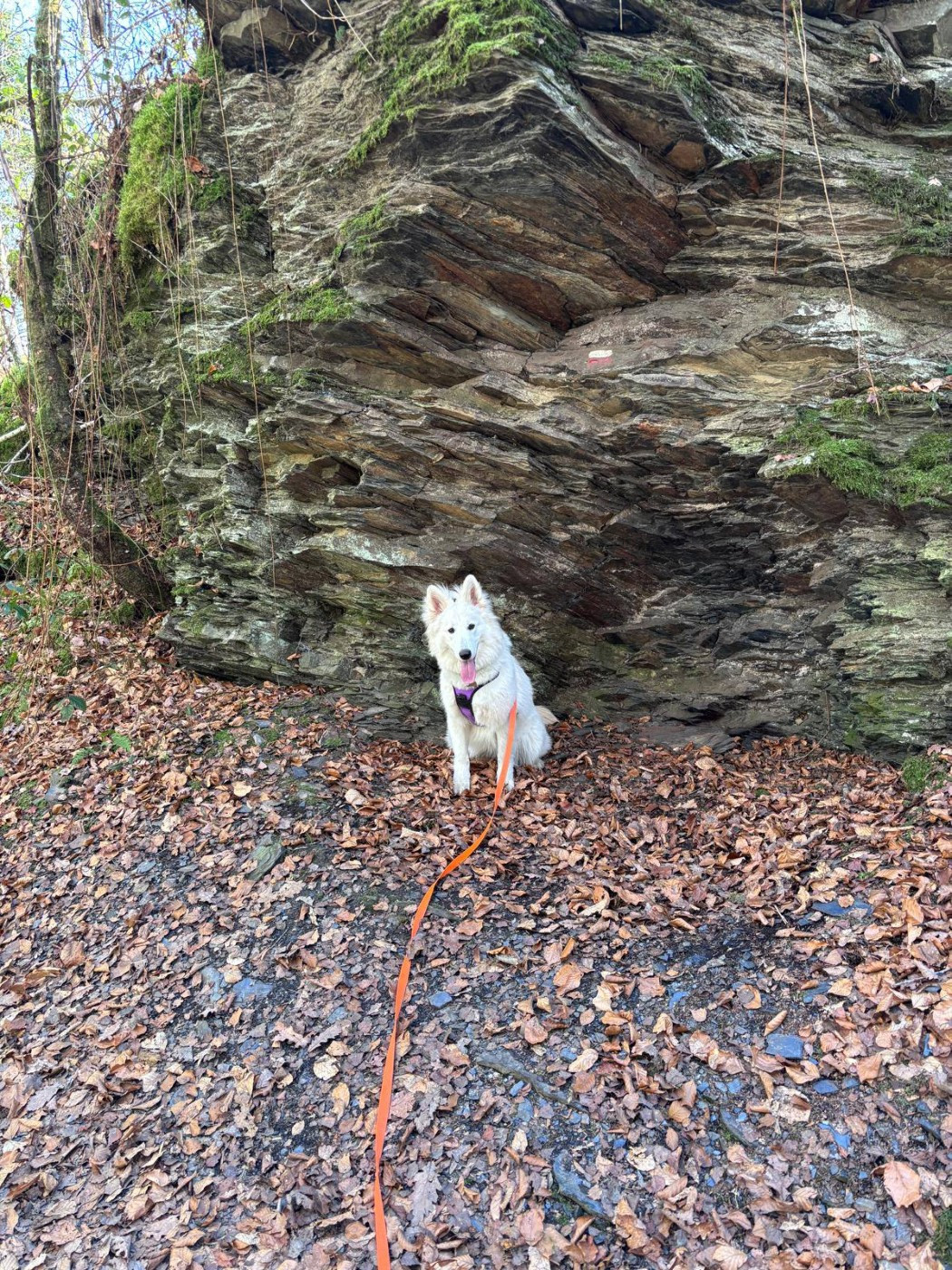 A skadi Du Moulin De Beuvry