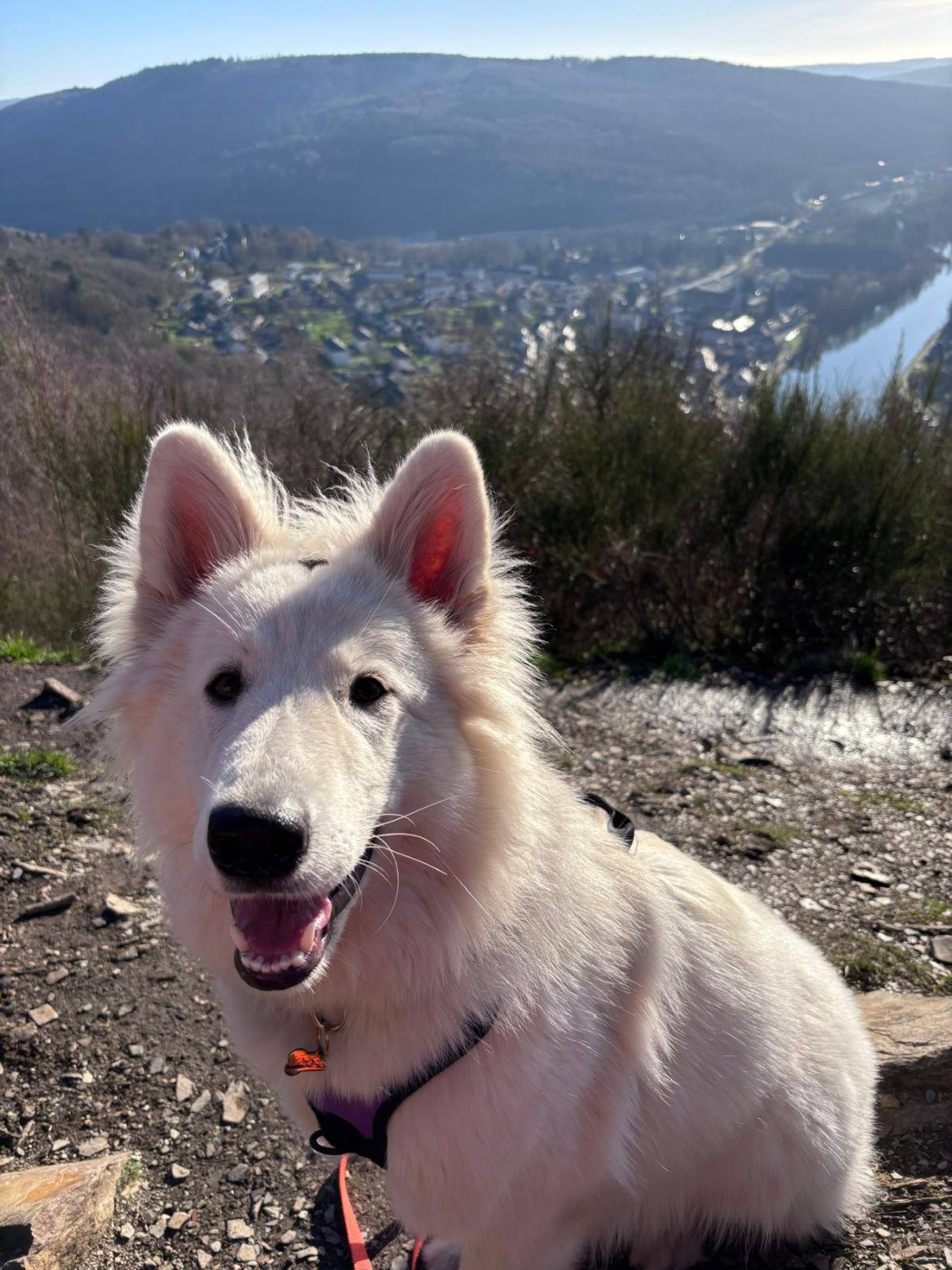 A skadi Du Moulin De Beuvry