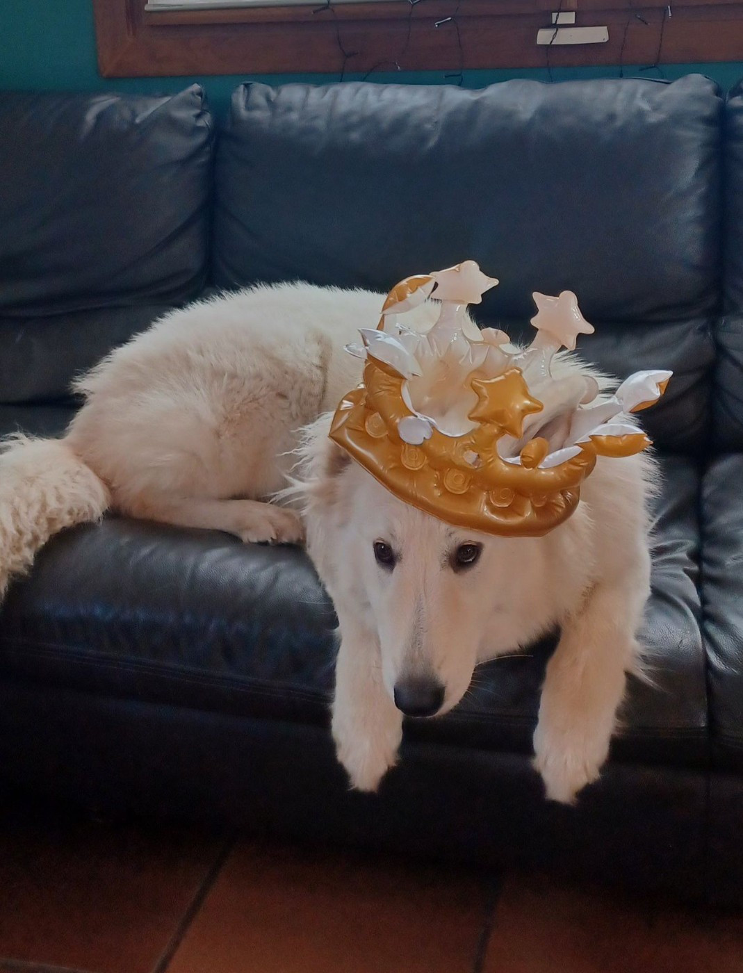 A skadi Du Moulin De Beuvry