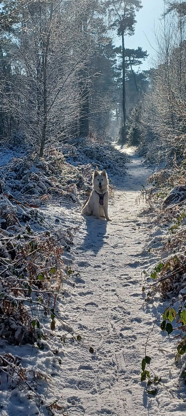 A skadi Du Moulin De Beuvry