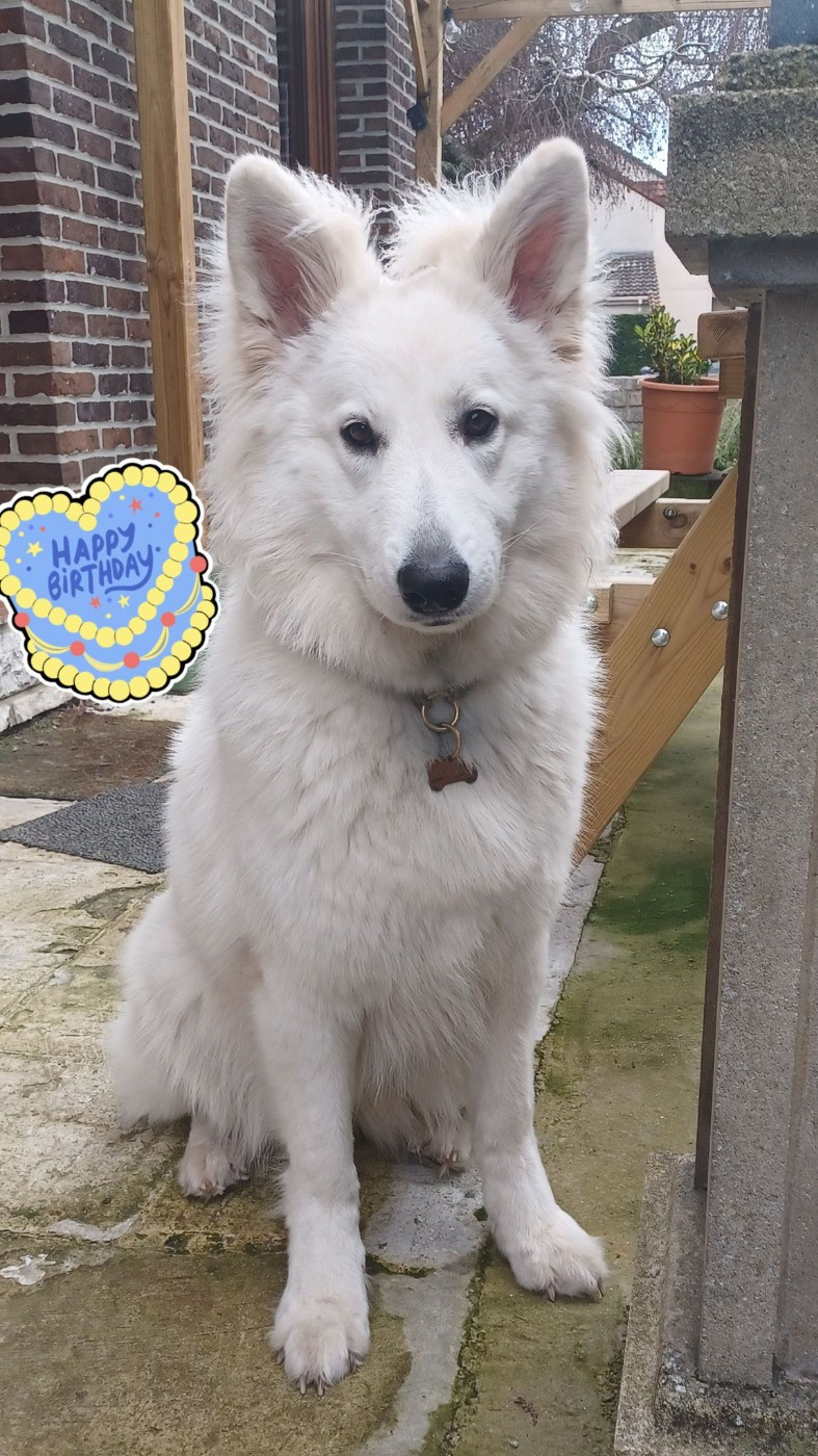 A skadi Du Moulin De Beuvry