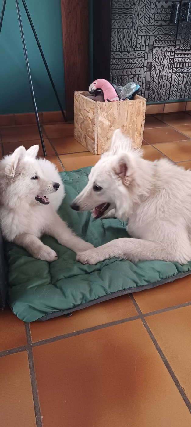 A skadi Du Moulin De Beuvry