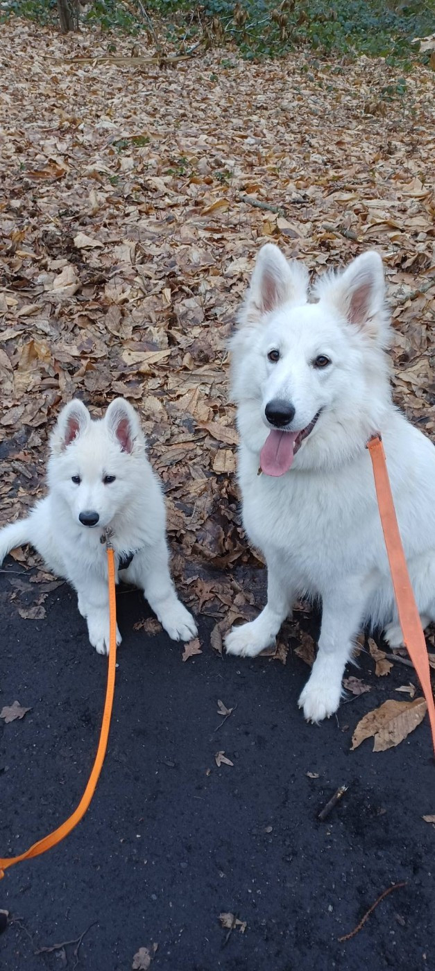 A skadi Du Moulin De Beuvry