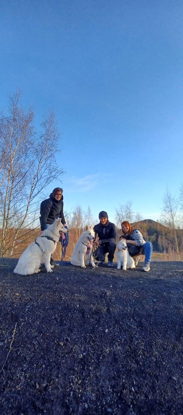 A SKOLL Du Moulin De Beuvry