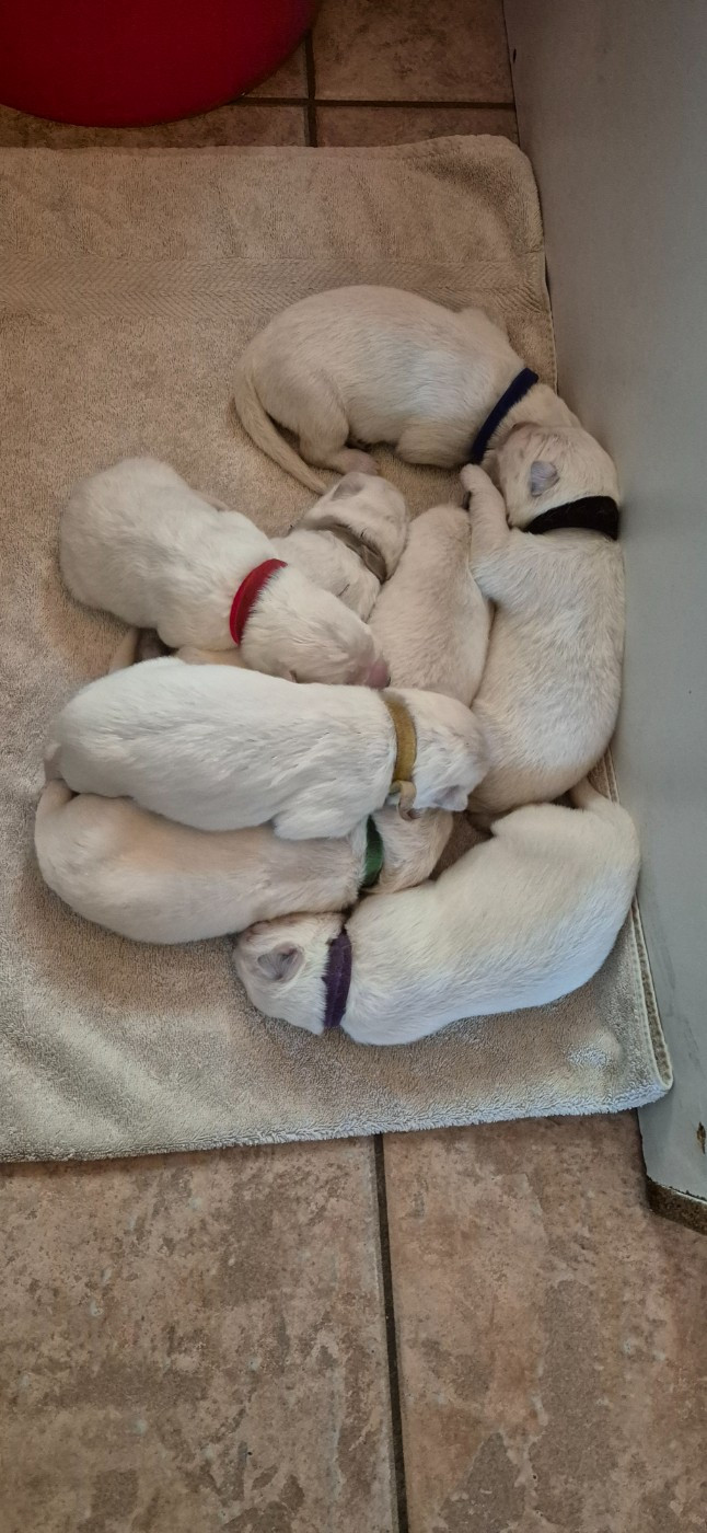 ATLAS Du Moulin De Beuvry