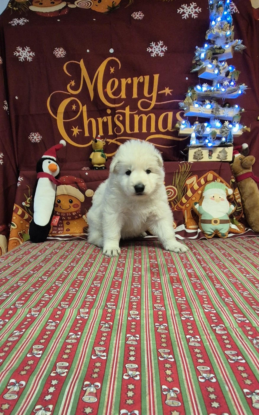 ATLAS Du Moulin De Beuvry