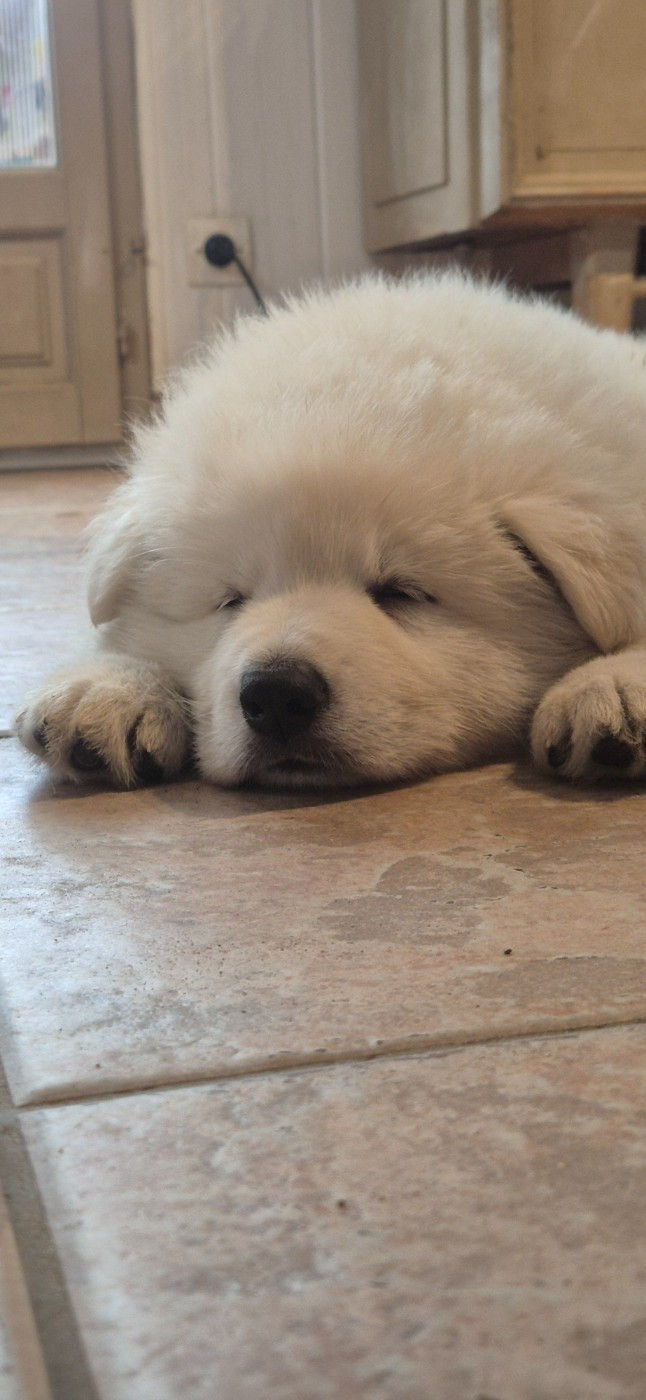 ATLAS Du Moulin De Beuvry