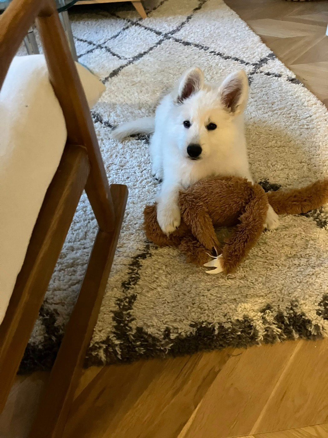 ATLAS Du Moulin De Beuvry