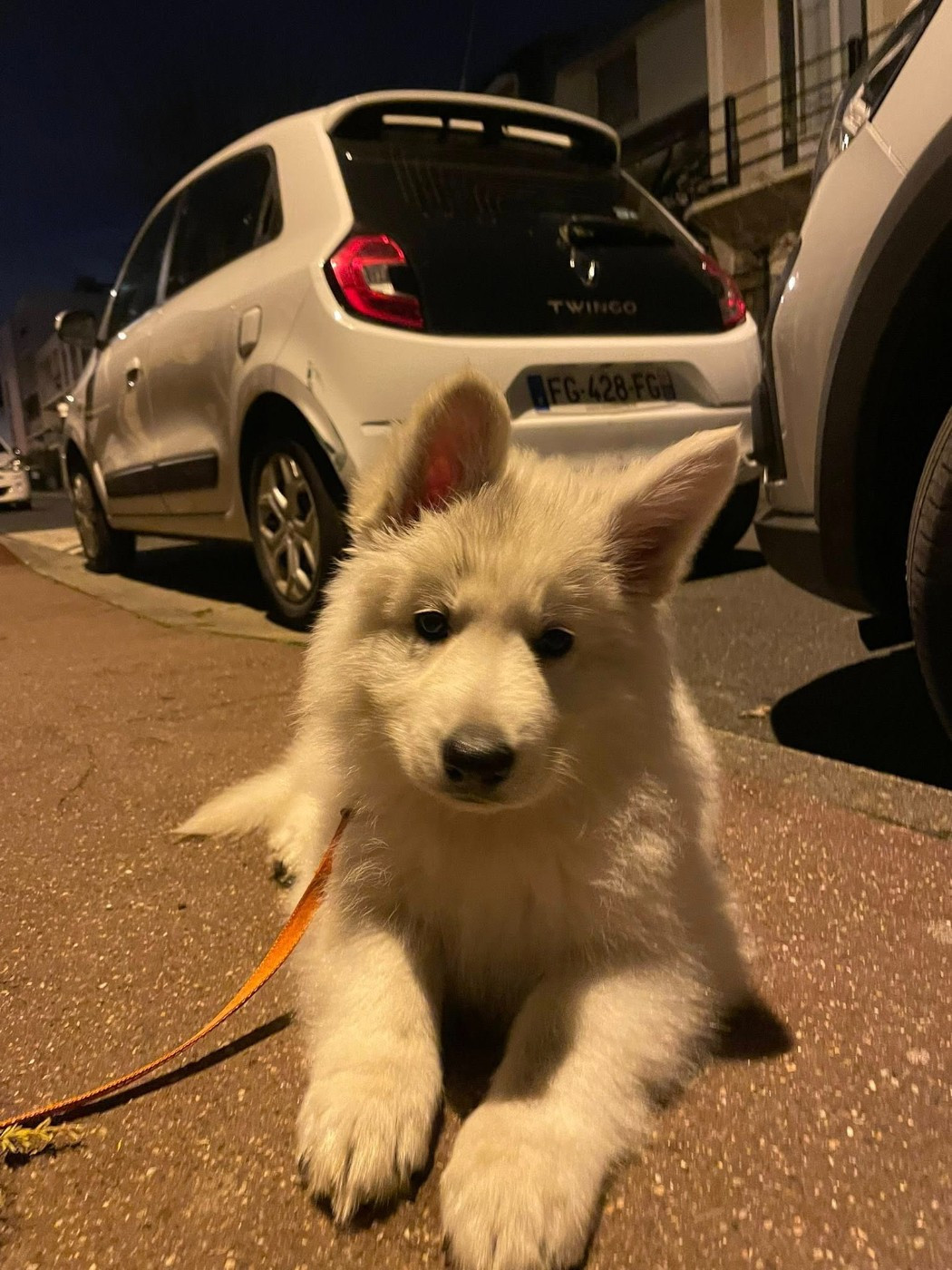 ATLAS Du Moulin De Beuvry
