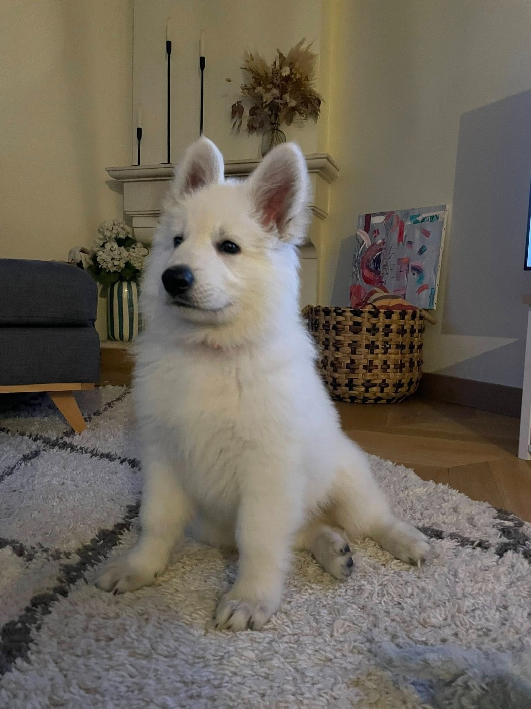 ATLAS Du Moulin De Beuvry