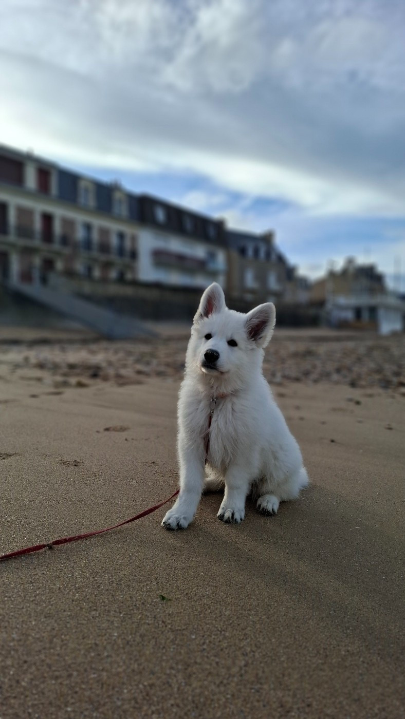 ATLAS Du Moulin De Beuvry
