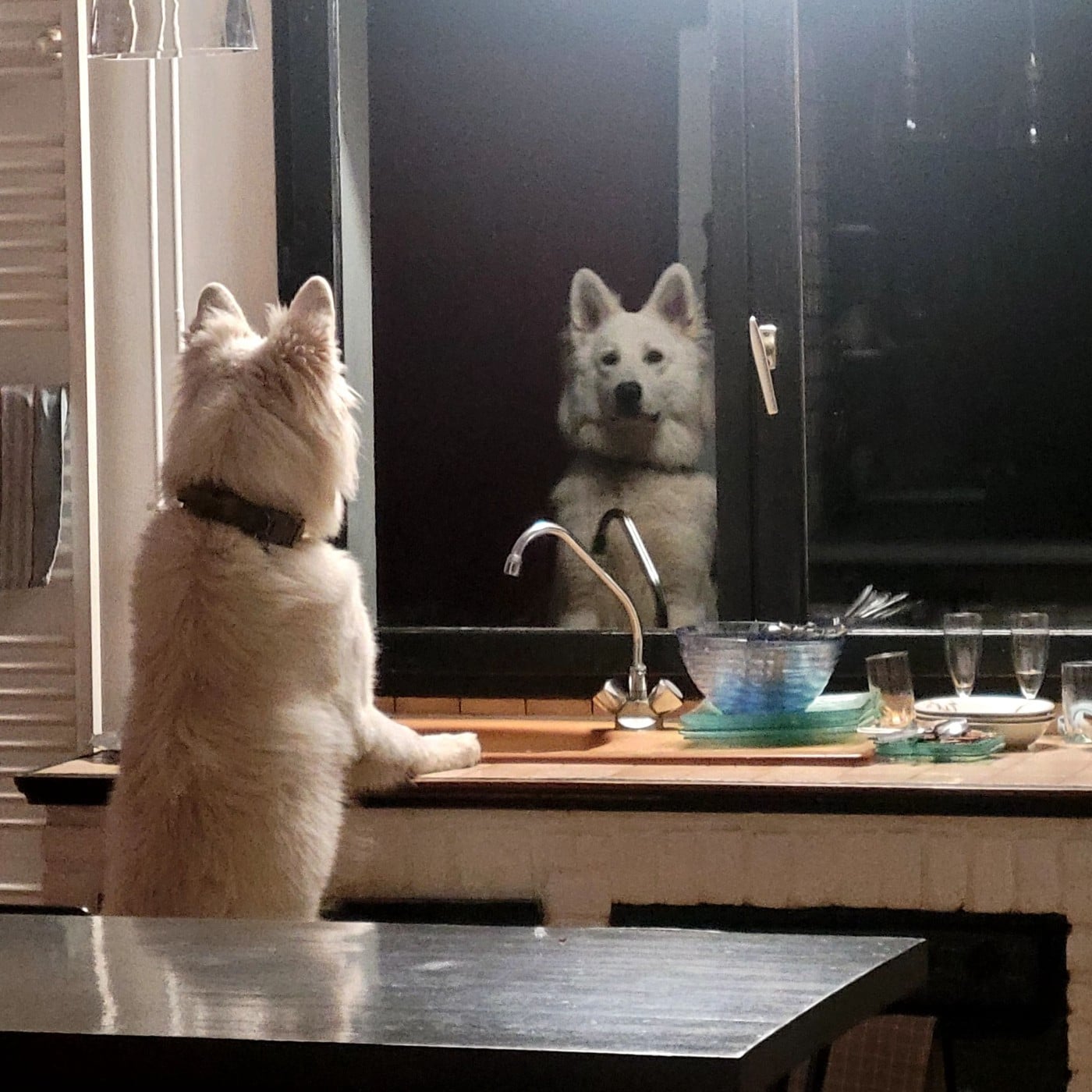 Apollo Du Moulin De Beuvry