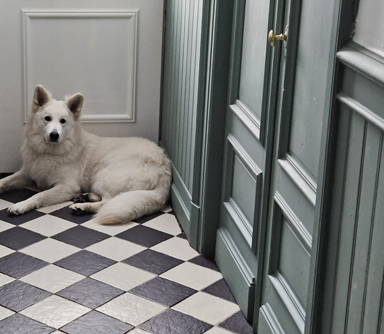 Arrow Du Moulin De Beuvry