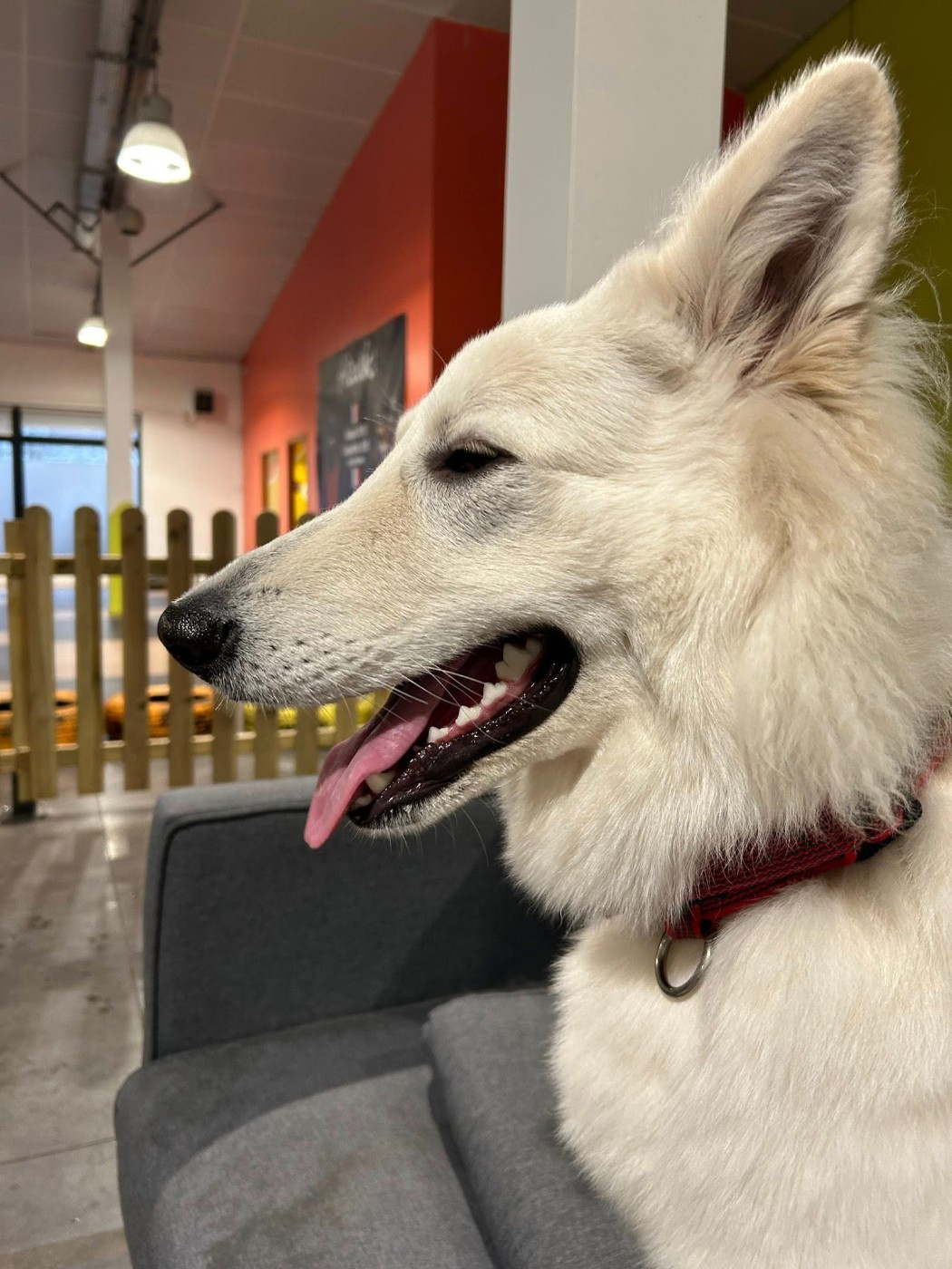 Ati Du Moulin De Beuvry