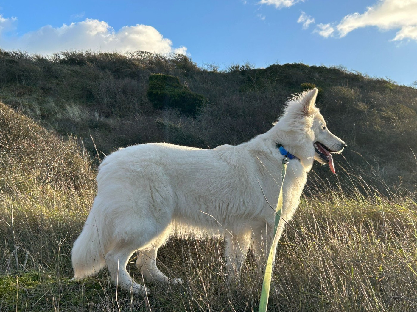 Ati Du Moulin De Beuvry