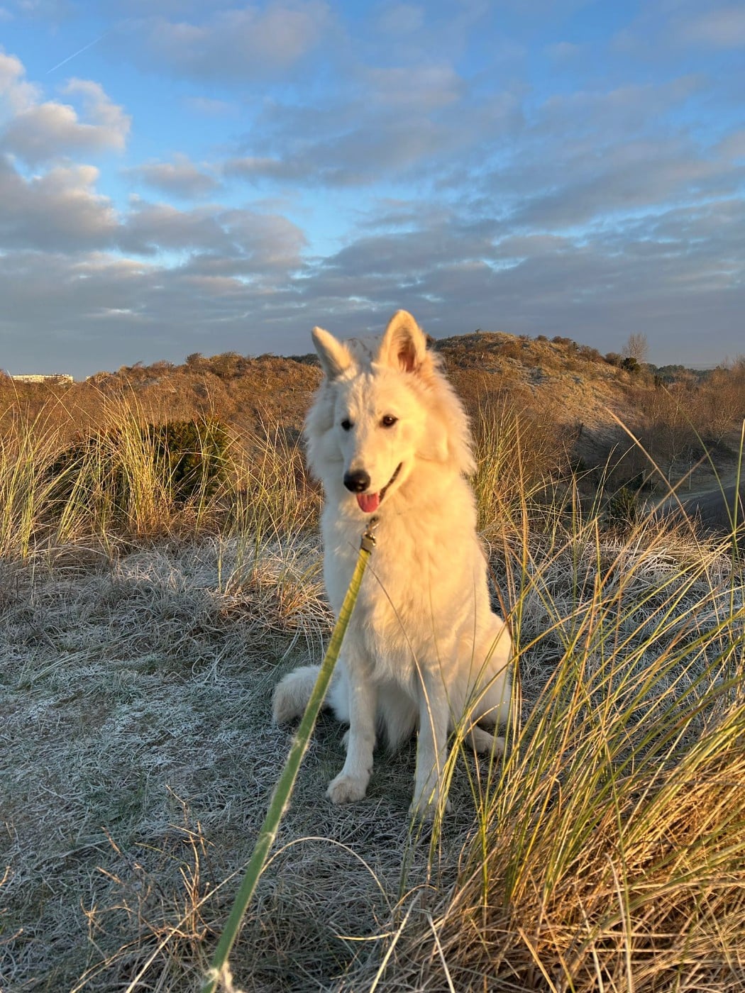 Ati Du Moulin De Beuvry