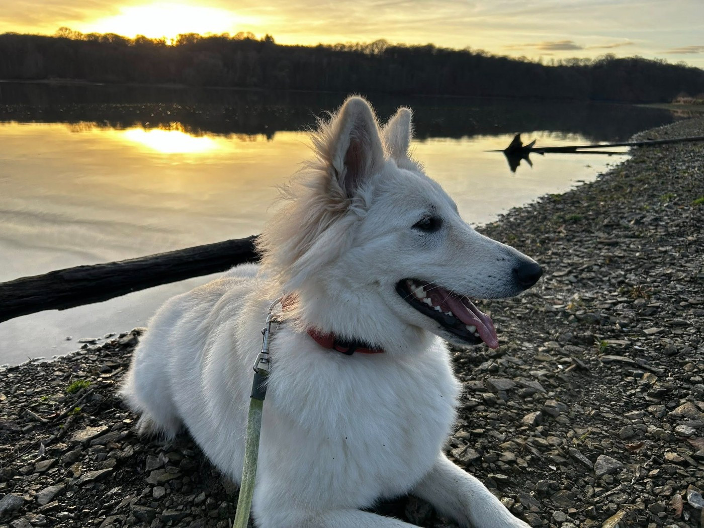 Ati Du Moulin De Beuvry