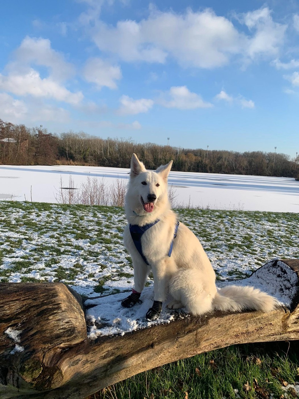 U're the only one jade Of Farah's Pearls