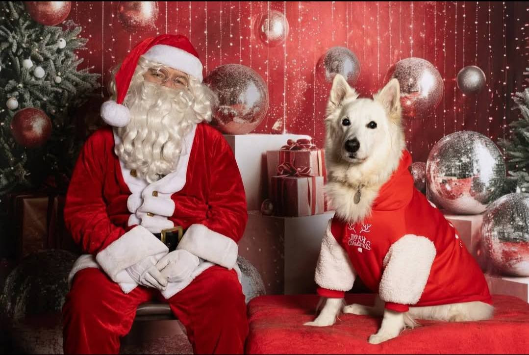 Jocko Du Moulin De Beuvry