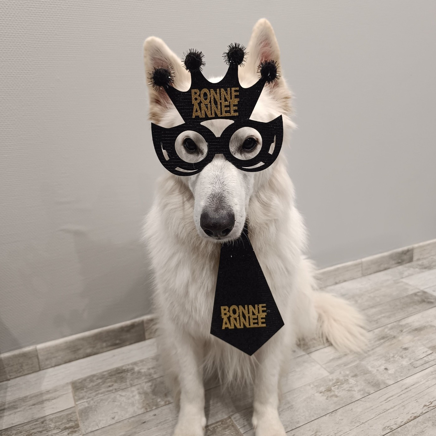 Jocko Du Moulin De Beuvry