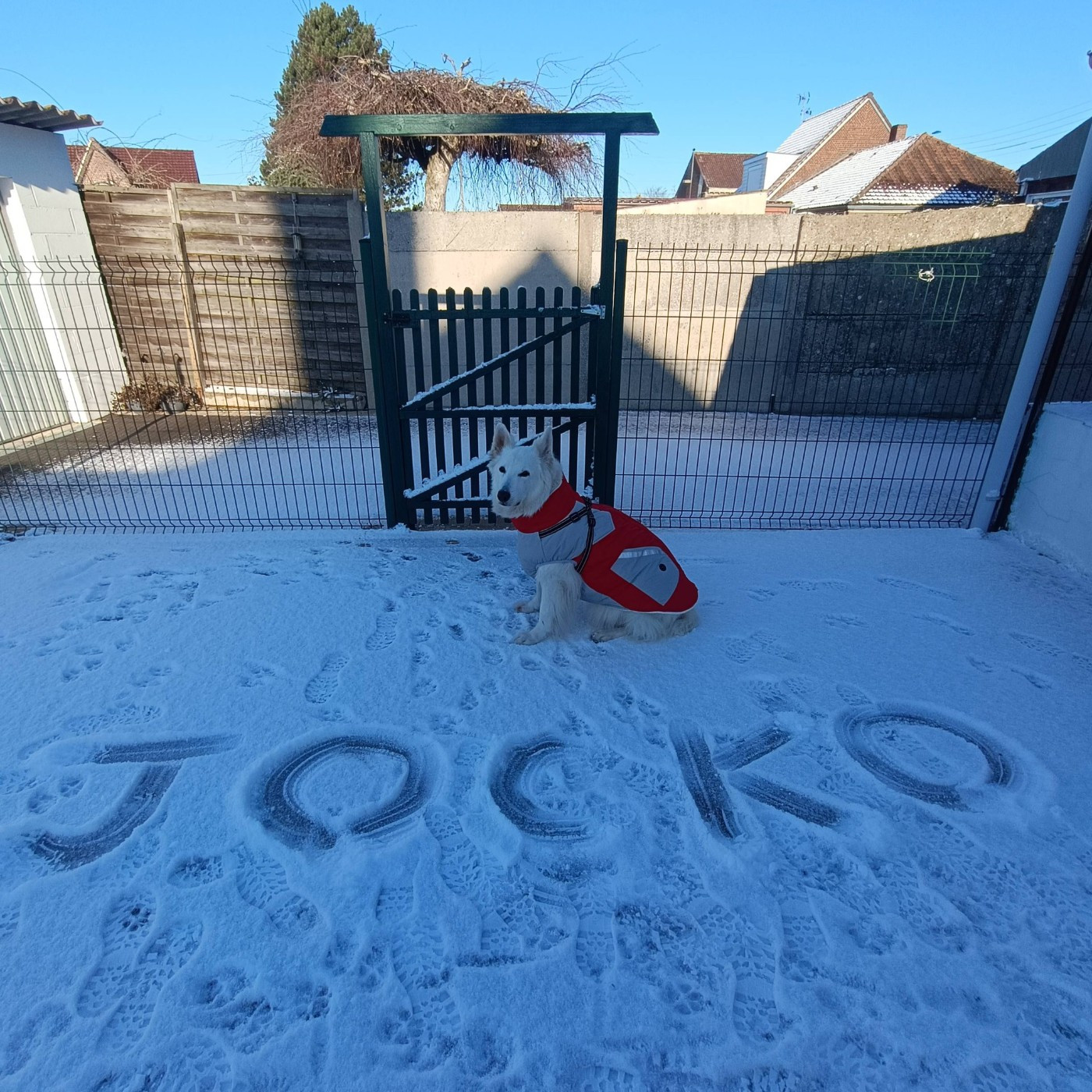 Jocko Du Moulin De Beuvry