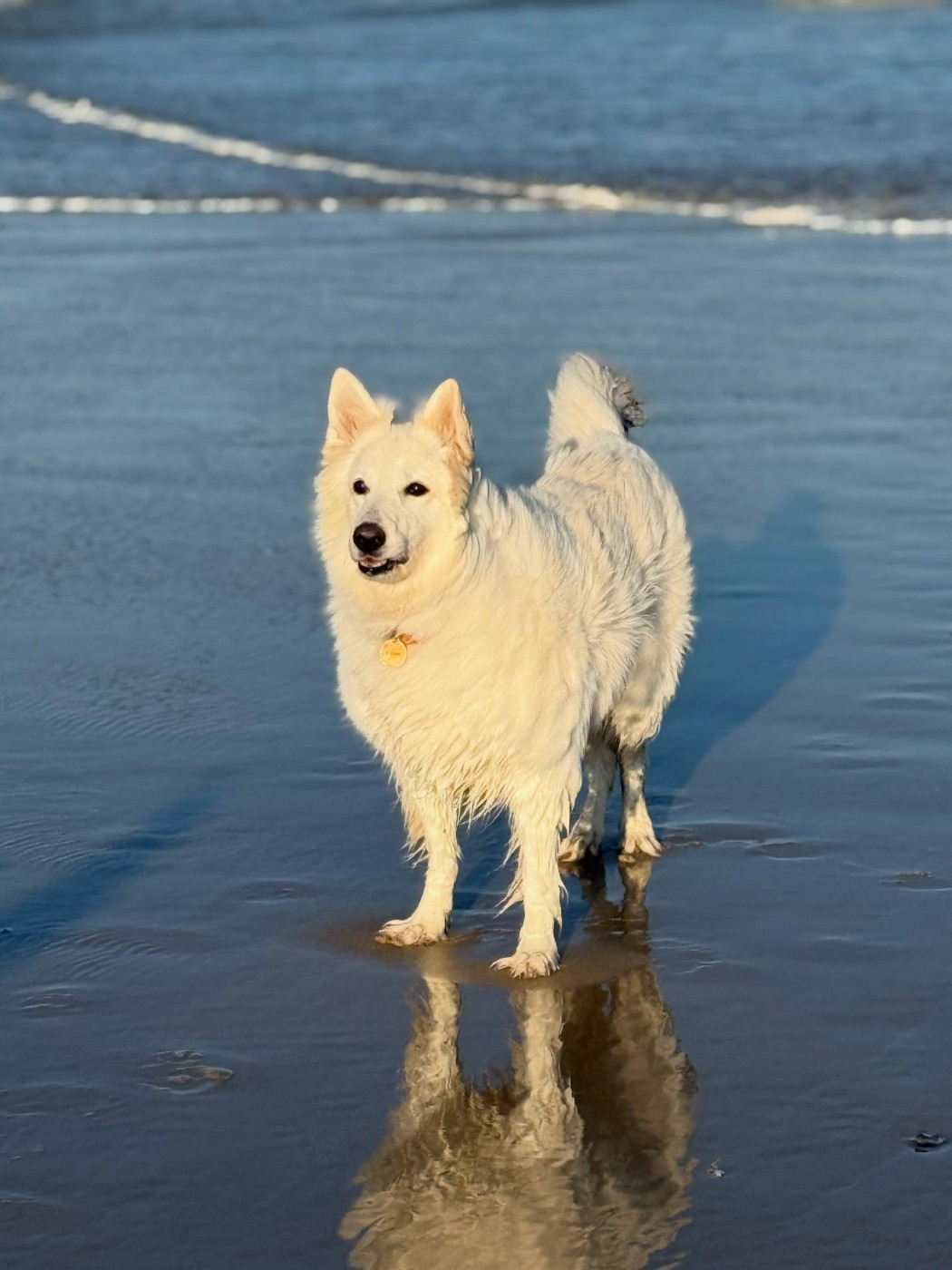 Joona Du Moulin De Beuvry