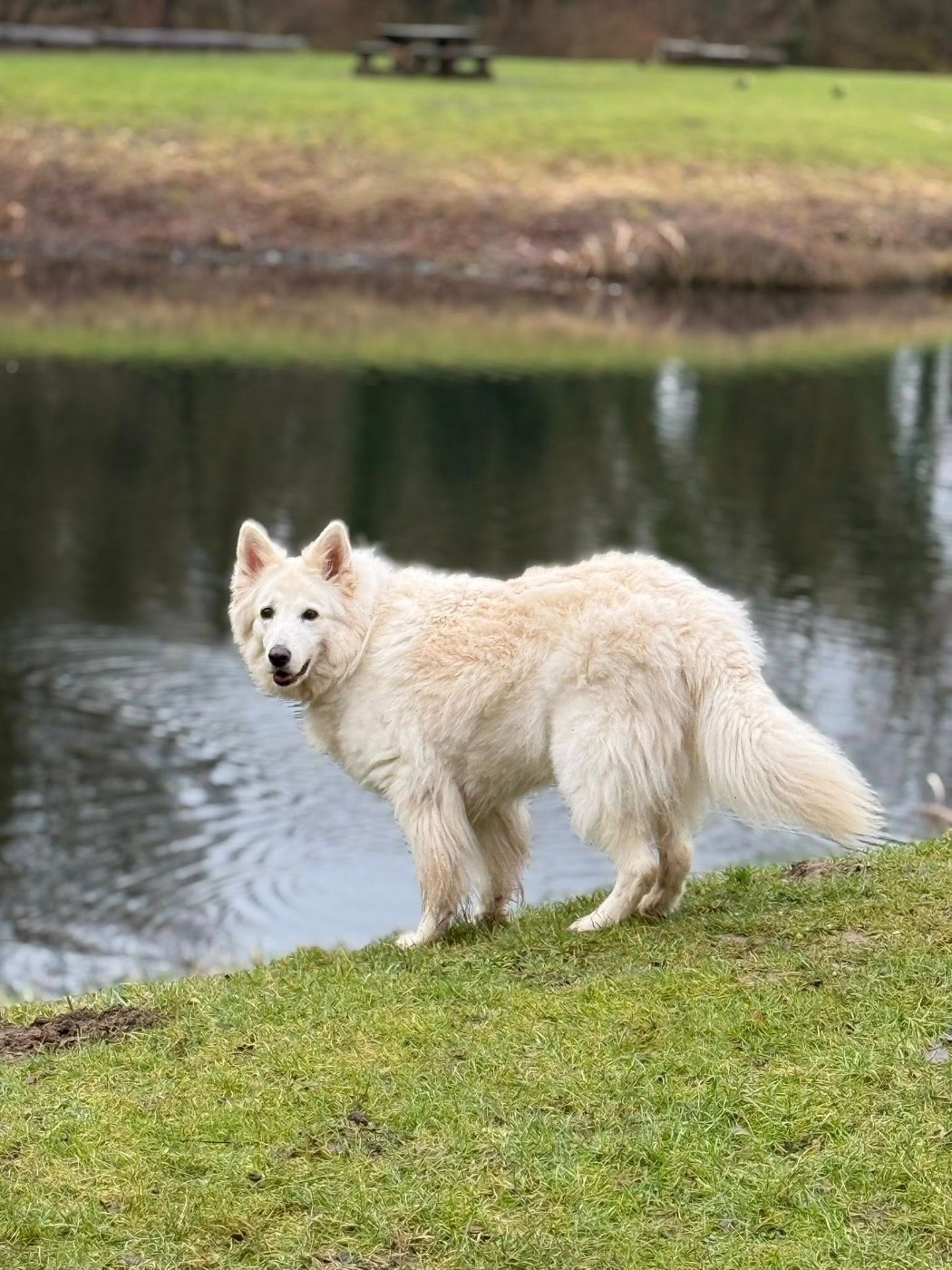 Joona Du Moulin De Beuvry
