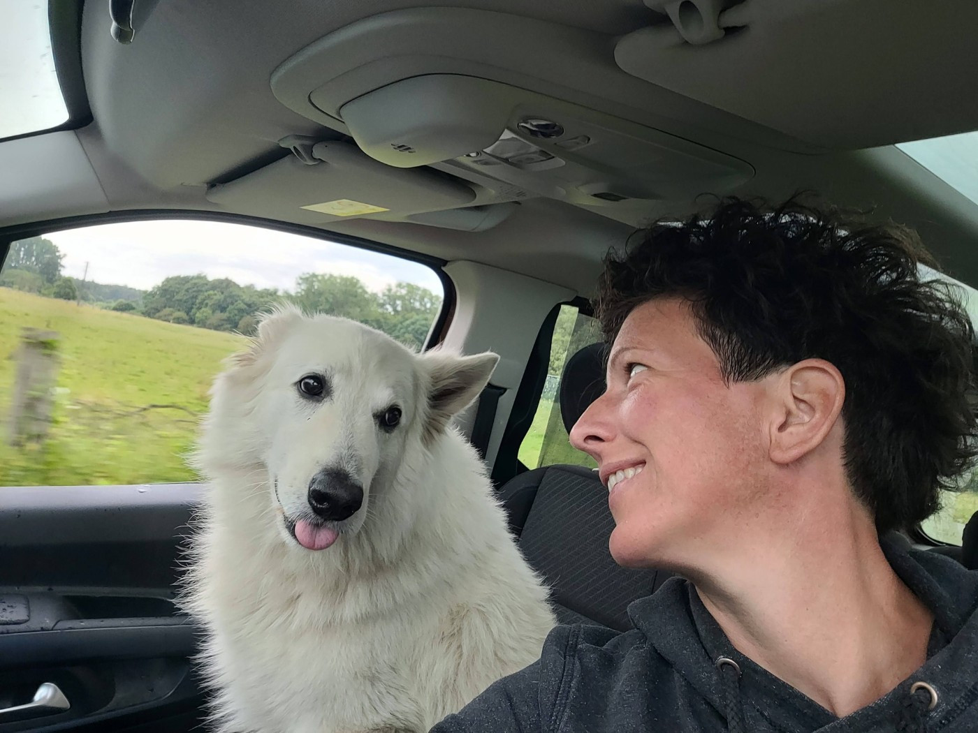 Memphis Du Moulin De Beuvry