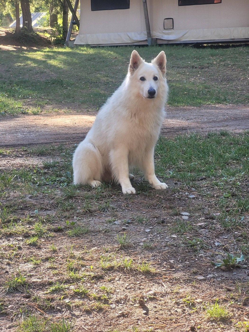 Memphis Du Moulin De Beuvry