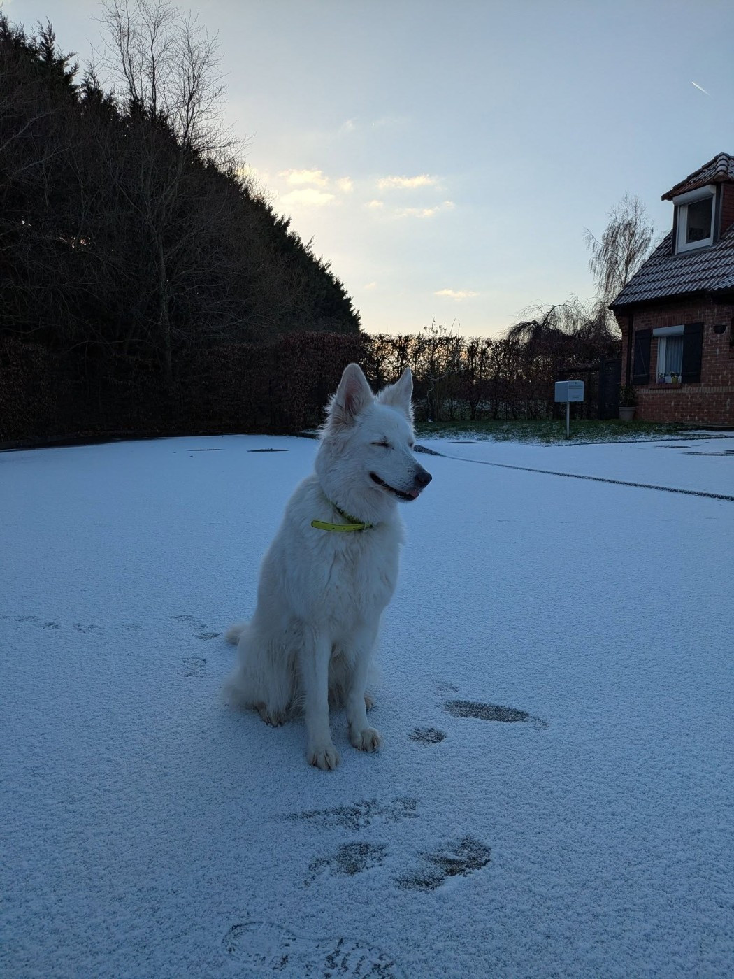 Milla Du Moulin De Beuvry