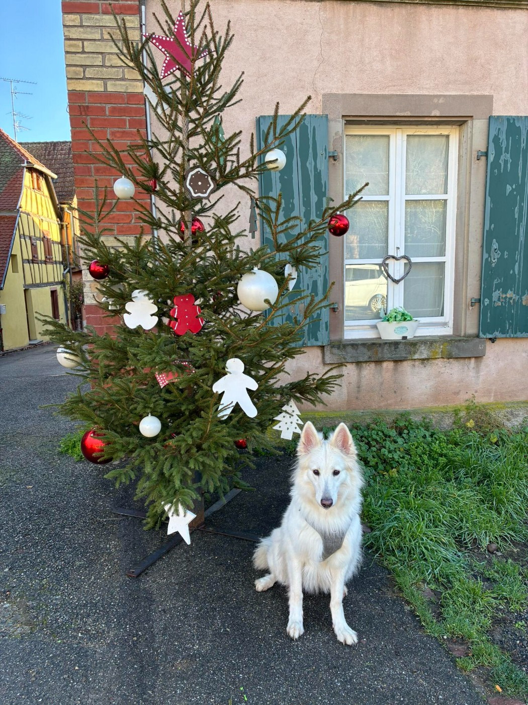 O'all you need is love Du Moulin De Beuvry