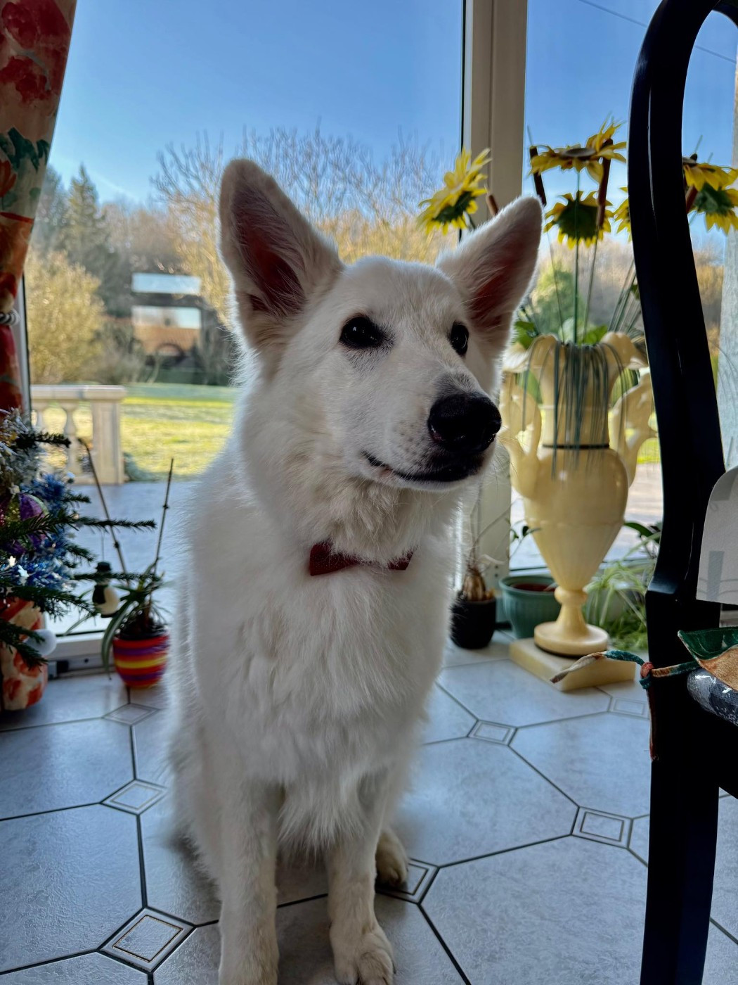 Origami Du Moulin De Beuvry