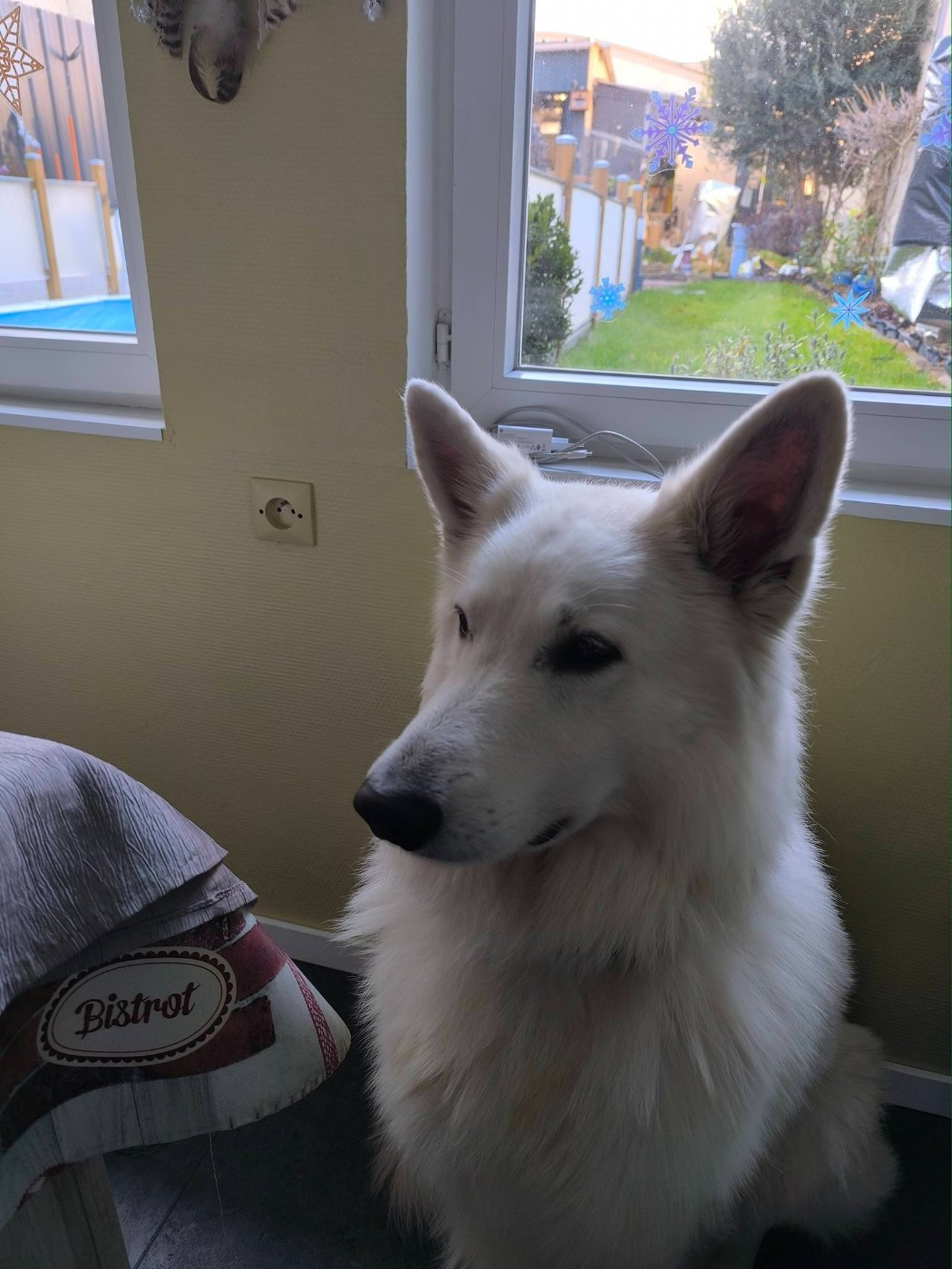 R'sirius Du Moulin De Beuvry