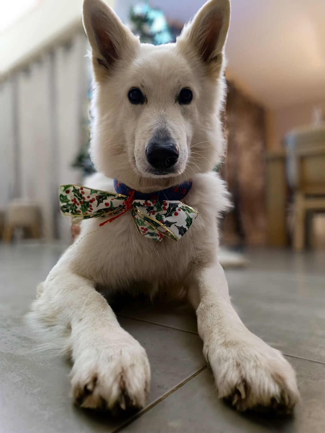 R'night Du Moulin De Beuvry