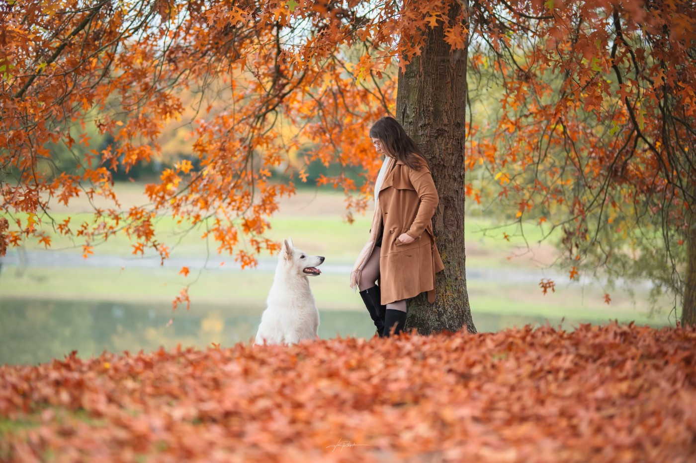 Rhea Du Moulin De Beuvry