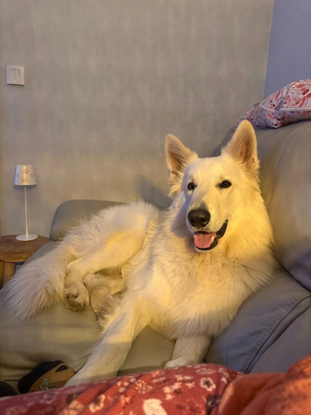 S'ice Du Moulin De Beuvry