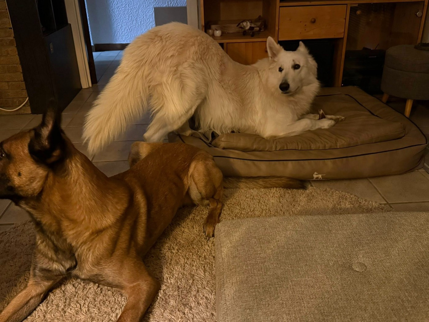 S'ice Du Moulin De Beuvry