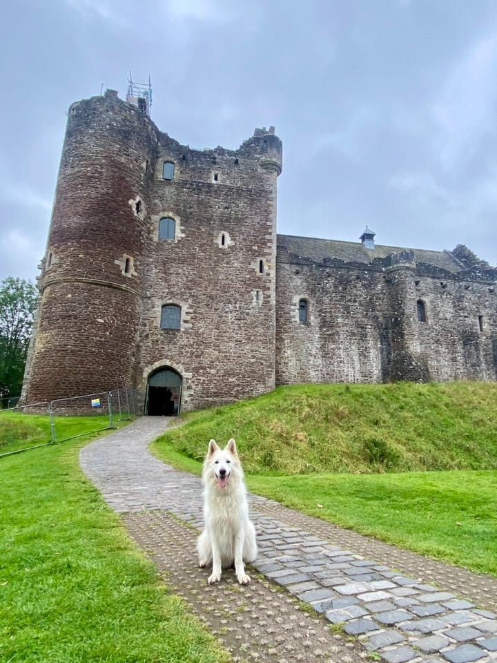 S'tuco Du Moulin De Beuvry