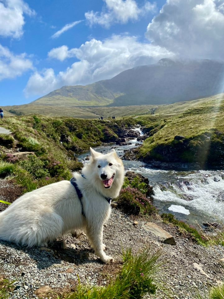 S'tuco Du Moulin De Beuvry