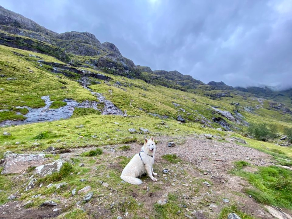 S'tuco Du Moulin De Beuvry