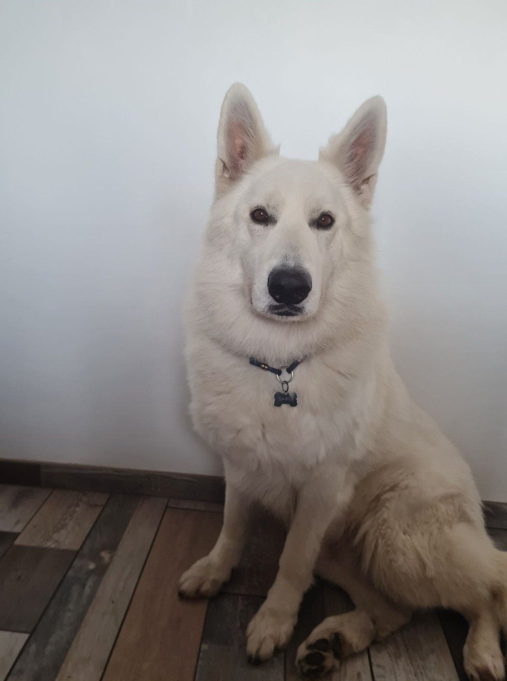 Saiko Du Moulin De Beuvry